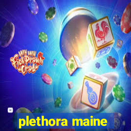 plethora maine